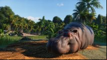 Planet Zoo's animal animation tools are 