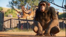 Planet Zoo gets an offline version of Franchise mode after beta players ask for it