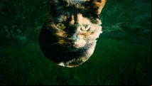 Satisfactory's spiders think they're cats, here's why