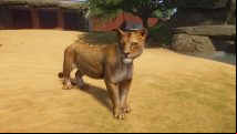 Planet Zoo is a beast of a management sim, but one you'll want to cuddle