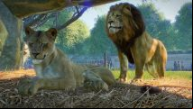 Planet Zoo habitat: cleanliness, barriers, and animal welfare