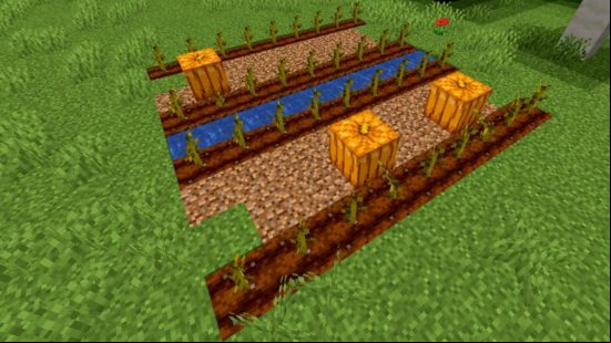 Minecraft pumpkin farm: an example of the most efficient method for growing pumpkins in minecraft