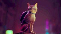 Stray system requirements