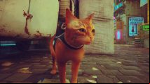 No, Stray is not too short