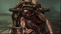 Should you choose the saw or the scoop for the Scorn egg puzzle