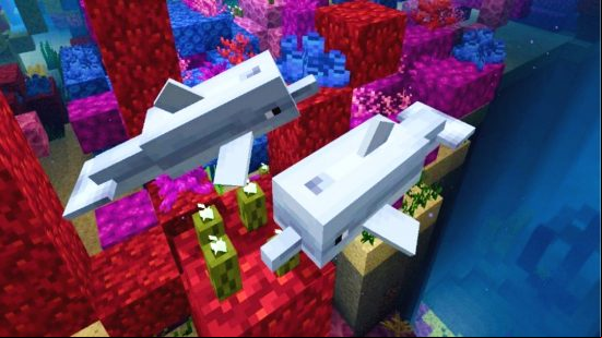 Minecraft mobs: Two dolphins, a Minecraft neutral mobs, swim among colourful coral blocks