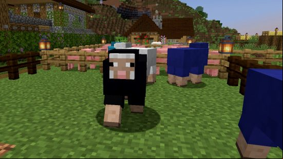 Minecraft mobs: A black Minecraft sheep walks towards the player, with a white and blue sheep behind it.