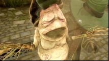 How to get a Hogwarts Legacy Mandrake
