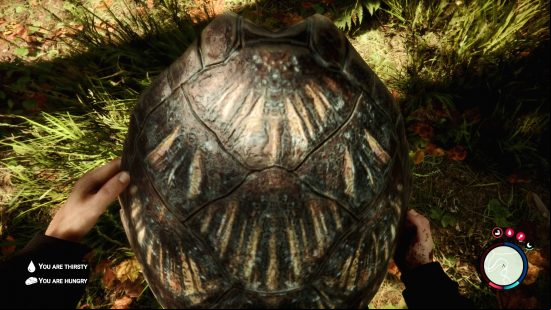 Sons of the Forest turtle shell: The player holds the turtle shell out in front of them in Sons of the Forest