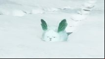 Wild Hearts has adorable rabbits, but there's a dark twist
