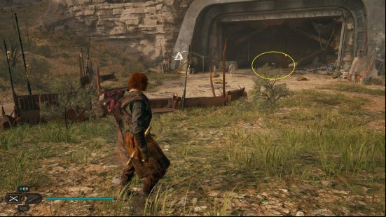A grassy area is home to more BD-1 cosmetics