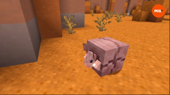 A minecraft armadillo peeks out from its ball to check for danger.