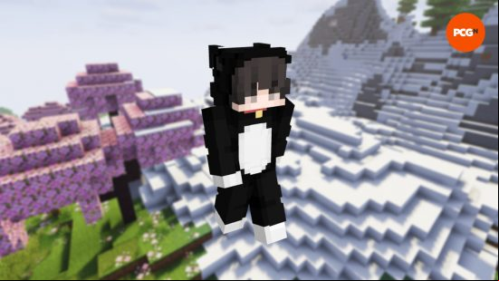 A kawaii Minecraft skin of a cat boy, wearing a black cat suit, complete with ears and a red collar.