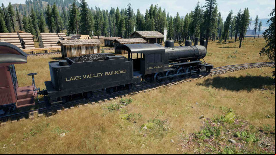 Railroads Online release date leaving early access: A black steam train parked in a train station in a wooded area.
