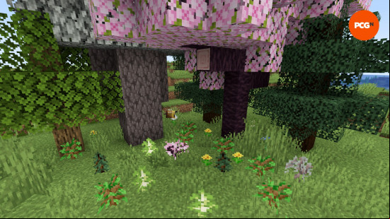 A range of tree variants grow in a small starter Minecraft tree farm.