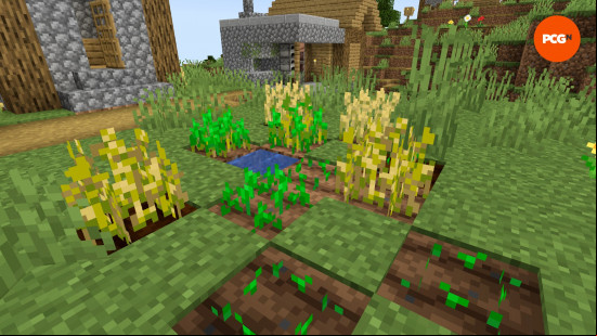A simple Minecraft wheat farm built near a village. 