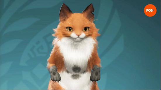 Monster Hunter Wilds Palico design codes: A cute orange, white, and black fox palico design.