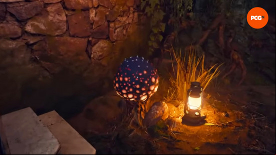 BO6 Shattered Veil main quest: a speckled orange seed