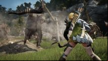 Black Desert Online will run in-game launch competitions, new dev interview tackles community concerns