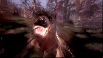 Fear the Wolves, the battle royale by ex-STALKER devs, is getting a beta