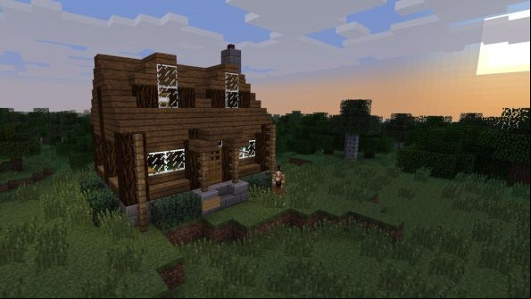 Minecrafting 113: Sunflower Seeds