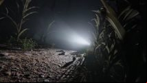 Outlast 2's first gameplay video shows a terrifying and tense chase through a cornfield