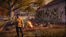 State of Decay MMO probably happening, definitely