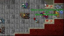 One Tibia player uncovered the MMO's 19-year-old secret and logged off, telling nobody